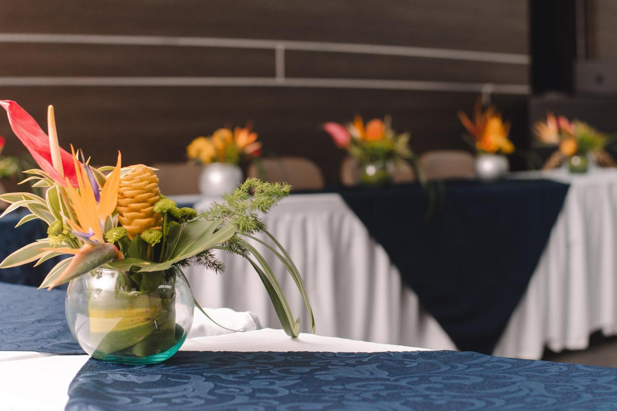 Hotel Punta Arena Spa Boutique Arauca Ngoại thất bức ảnh